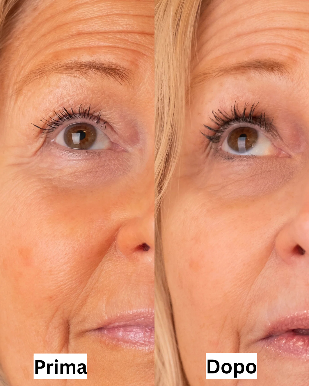 Your paragraph text (5)