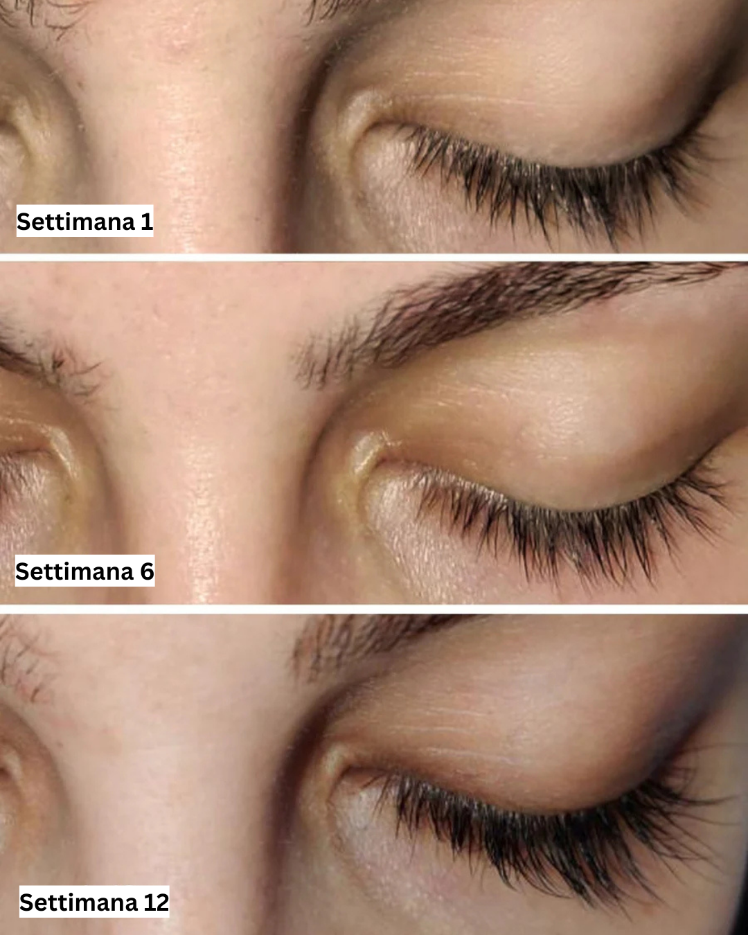 Your paragraph text (7)