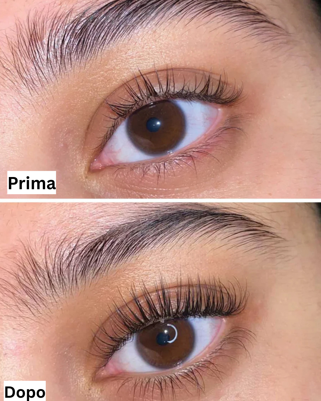 Your paragraph text (8)